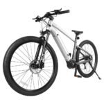 ACCOLMILE LIGHTNING BEAR ELECTRIC BIKE