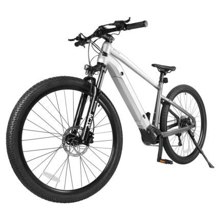 ACCOLMILE LIGHTNING BEAR ELECTRIC BIKE