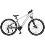 ACCOLMILE LIGHTNING BEAR ELECTRIC BIKE - Image 2