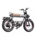 Coswheel CT20 Cargo Electric Bike-UK