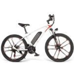 Coswheel T26 Cargo OFF-ROAD Electric Bike - Image 10