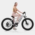 Crazybird Jumper E-Bike - UK - Image 12