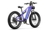 DUOTTS E26 Electric Bike - Image 2