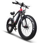 ES28 1000W ELECTRIC BIKE