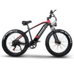 ES28 1000W ELECTRIC BIKE - Image 3