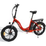 FAFREES F20 Folding Electric Bike - Image 10
