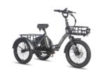 Fafrees F20 Mate Electric Tricycle - Image 11