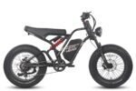 Fafrees F20 Ultra Electric Bike - Image 2