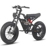 Fafrees F20 Ultra Electric Bike