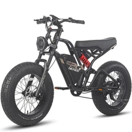 Fafrees F20 Ultra Electric Bike