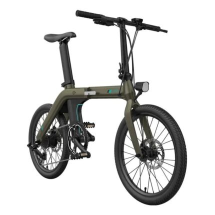 FIIDO D21 Folding Electric Bike