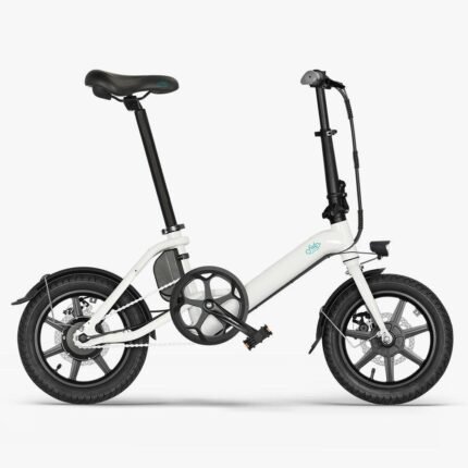 FIIDO D3 PRO Electric Bike with mudguard and light