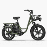 FIIDO T1 PRO Electric Cargo Bike upgraded v2 2024 edition-UK - Image 12