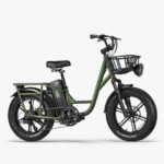 FIIDO T1 pro v2 upgraded Cargo  Electric Bike