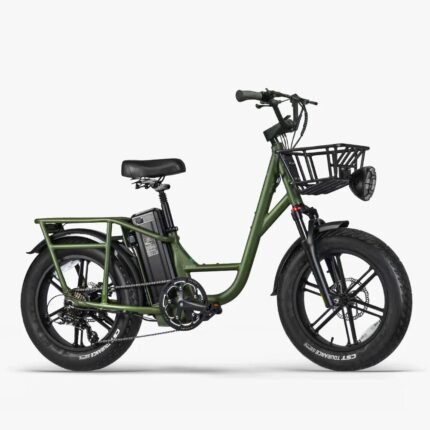 FIIDO T1 pro v2 upgraded Cargo  Electric Bike