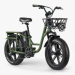 FIIDO T1 pro v2 upgraded Cargo  Electric Bike - Image 2