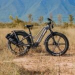 Fiido Titan Robust Cargo Electric Bike - Image 2