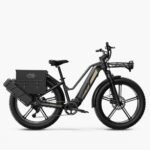 Fiido Titan Robust Cargo Electric Bike-UK - Image 6