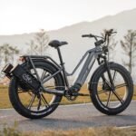 Fiido Titan Robust Cargo Electric Bike-UK - Image 7