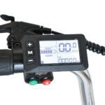 Gogobest Electric City Tricycle Cargo E-bike - Image 18