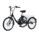 Gogobest Electric City Tricycle Cargo E-bike - Image 3