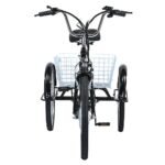 Gogobest Electric City Tricycle Cargo E-bike - Image 5