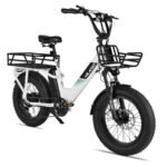Joykie EHD303 Electric Cargo Bike - Image 2