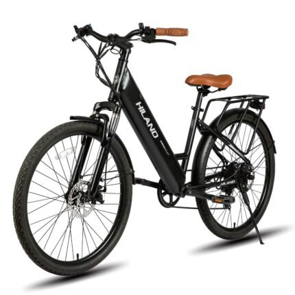 Joykie EHD310 Electric Bike