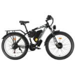 Philodo H8 Dual Motor Cargo Electric bike