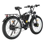 Philodo H8 Dual Motor Cargo Electric bike - Image 4
