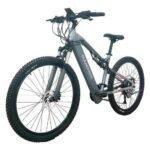 RANDRIDE YG90A Electric Bike