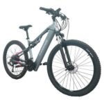 RANDRIDE YG90A Electric Bike - Image 3
