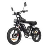 Ridstar Q20 Pro Electric Bike