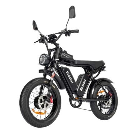 Ridstar Q20 Pro Electric Bike