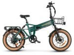 SAMEBIKE XWLX09-II Mountain Electric Bike - Image 4
